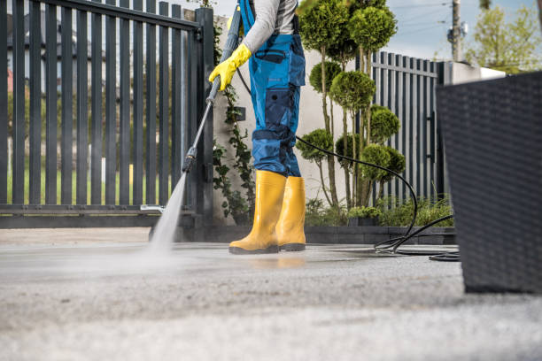 Best Roof Pressure Washing  in Buhl, ID